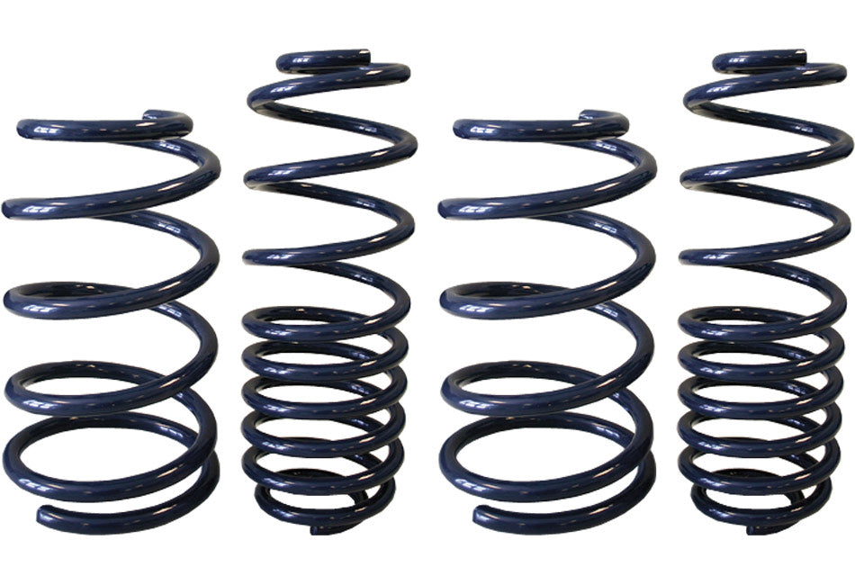 Steeda ProAction Mustang Suspension with Ultra Lite Lowering Springs 2005-2010 - 420Performance
