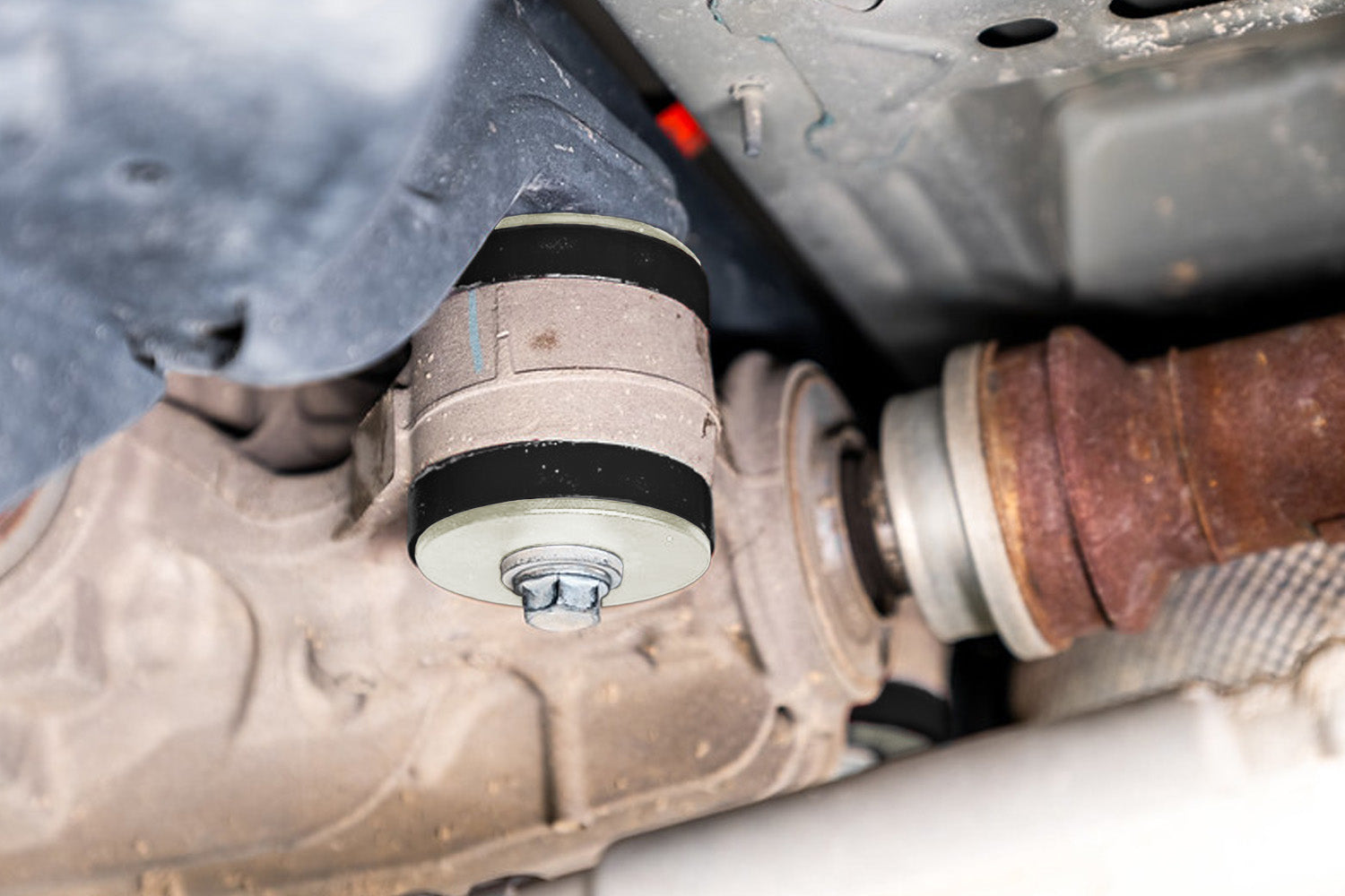 Steeda Explorer Rear Diff/Pinion Heavy Duty Bushing Kit (2020-2025)