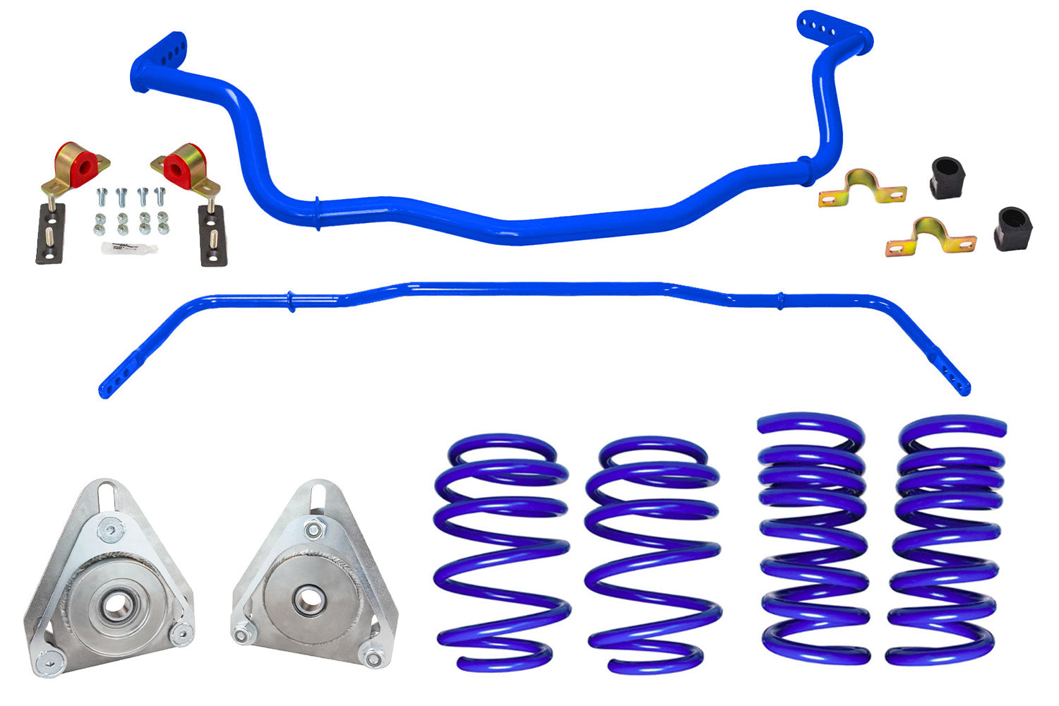 Steeda Mustang w/ MagneRide Nurburg Package (2015-2024)